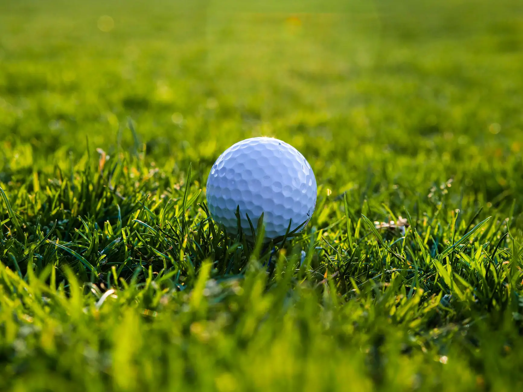 a white golf ball on the green grass