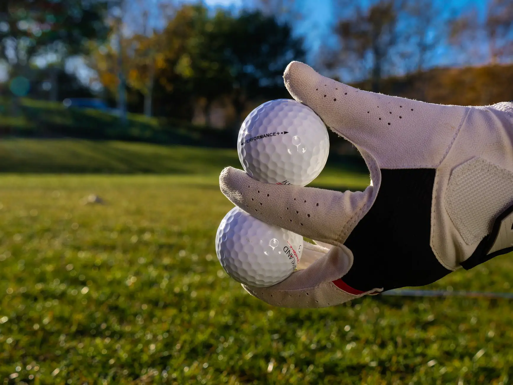close up photo of golf balls